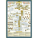 Poster de l'Arbre Généalogique des Rois de France
