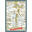 copy of Plastified Poster of the Genealogical Tree of the Kings of France