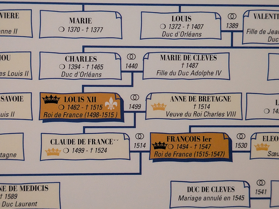 Arbre généalogique Louis XII et Anne de Breatgne